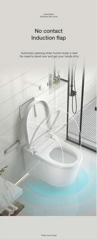 Intelligent Toilet Tankless