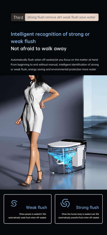 Intelligent Toilet Tankless