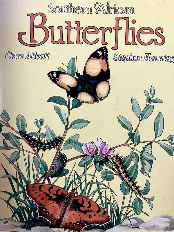 Southern African Butterflies by Clare Abbott and Stephen Henning