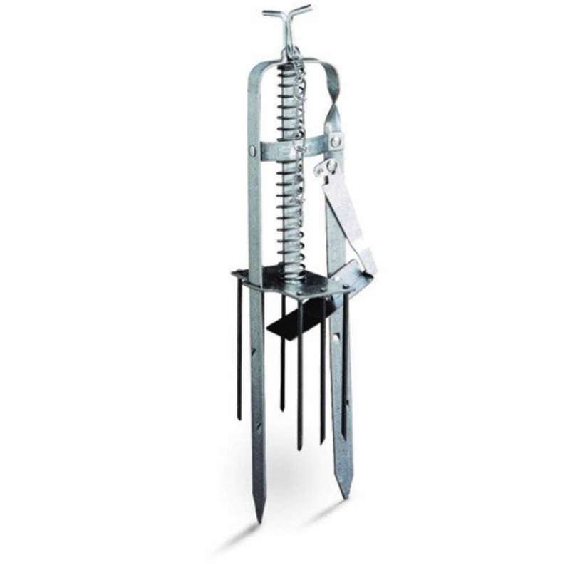 Mole traps