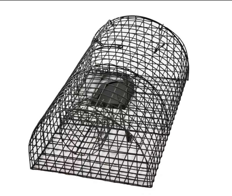 Mouse trap multiple catch
