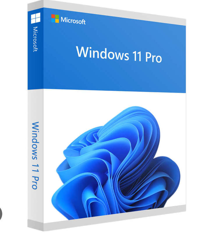 Windows 11 Professional