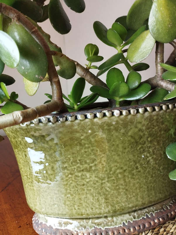 Planter oval pottery