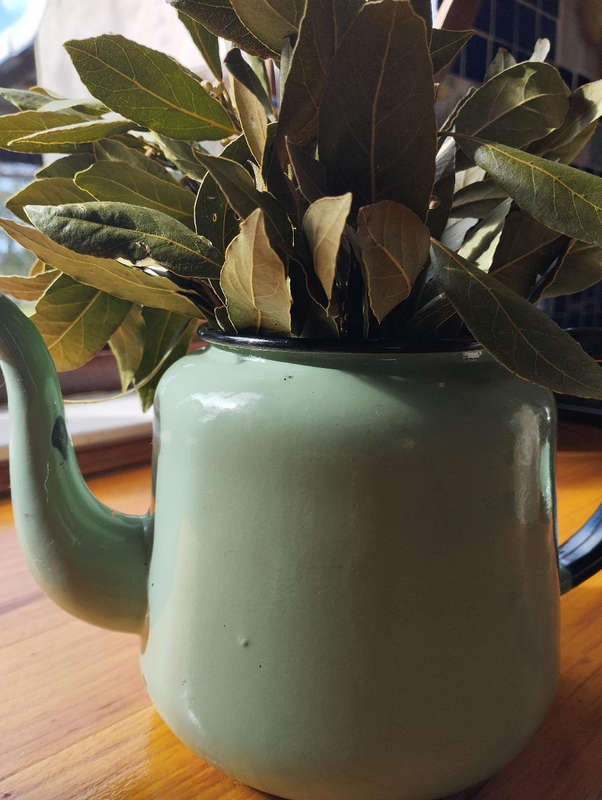 Green enamel tea/coffee pot