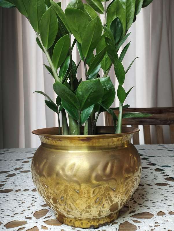 Brass-plated copper planter small-medium size