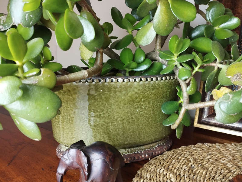 Planter oval pottery