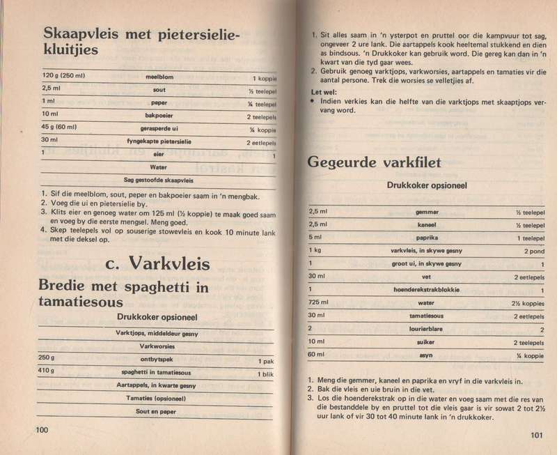 BRAAIVLEIS EN BUITEKOS - ERINA BEZUIDENHOUT (1984)