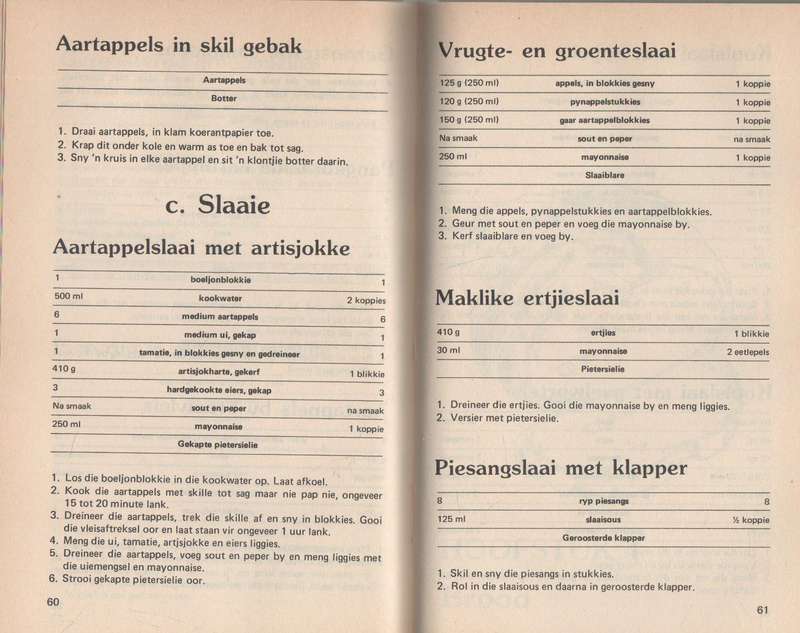 BRAAIVLEIS EN BUITEKOS - ERINA BEZUIDENHOUT (1984)