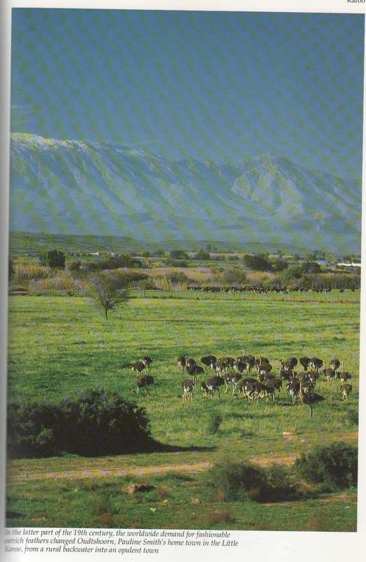 THE BEST SOUTH AFRICAN SHORT STORIES - ANNE TURNER (1 ST EDITION 1991)