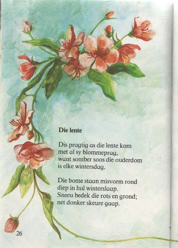 TREETJIES NA DIE TOEKOMS - JOHAN VAN ZYL (1 STE UITGAWE 1988)