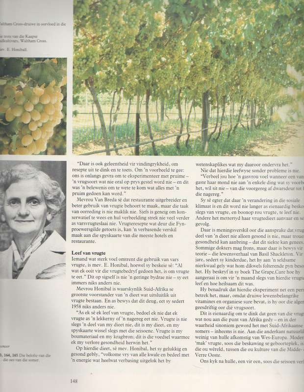 BOOM VAN DIE LEWE. DIE VERHAAL VAN KAAPSE VRUGTE - SIEGFRIED STANDER (1983) SAGTEVRUGTERAAD