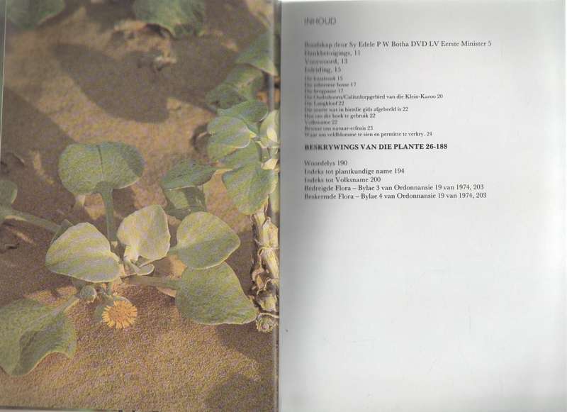 OUTENIEKWA TSITSIKAMMA & OOSTELIKE KLEIN-KAROO - AUDREY MORIARTY (VELDBLOMGIDS NO 2  1982)