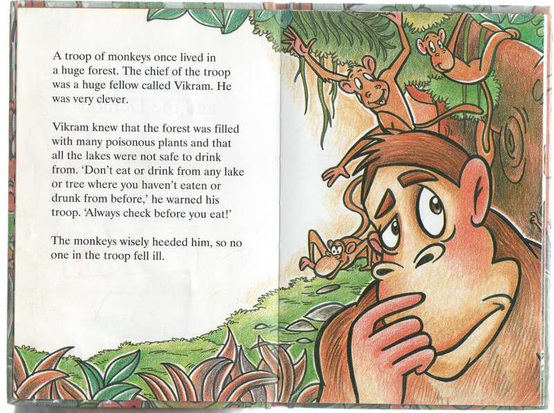 THE MONKEY AND THE DEMON - LADYBIRD - MEERA UBEROI (2005)