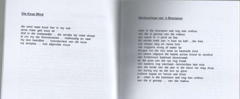 VERSAMELDE GEDIGTE - JOHANN NEETHLING (2017)