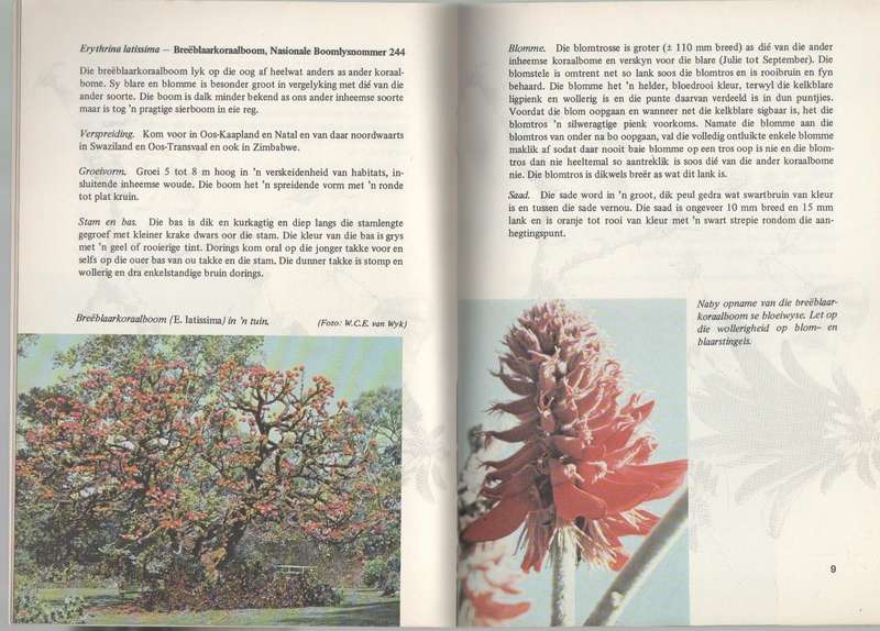 PAMFLET 298 KORAALBOOM, BOOM VAN DIE JAAR 1982 EN PAMFLET 317 DIE WILDEVY 1984