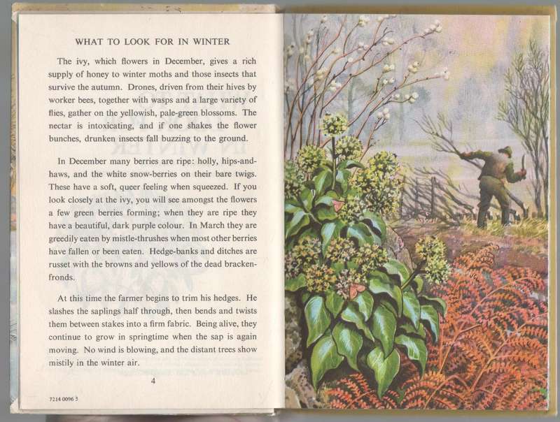 WHAT TO LOOK FOR IN WINTER, A LADYBIRD BOOK - 1959 E L GRANT WATSON