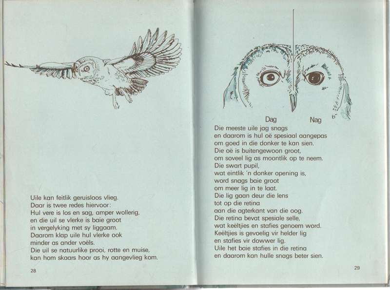 PIERINGOOG, VLAK 4 - WINCKLER EN MARAIS (1984)