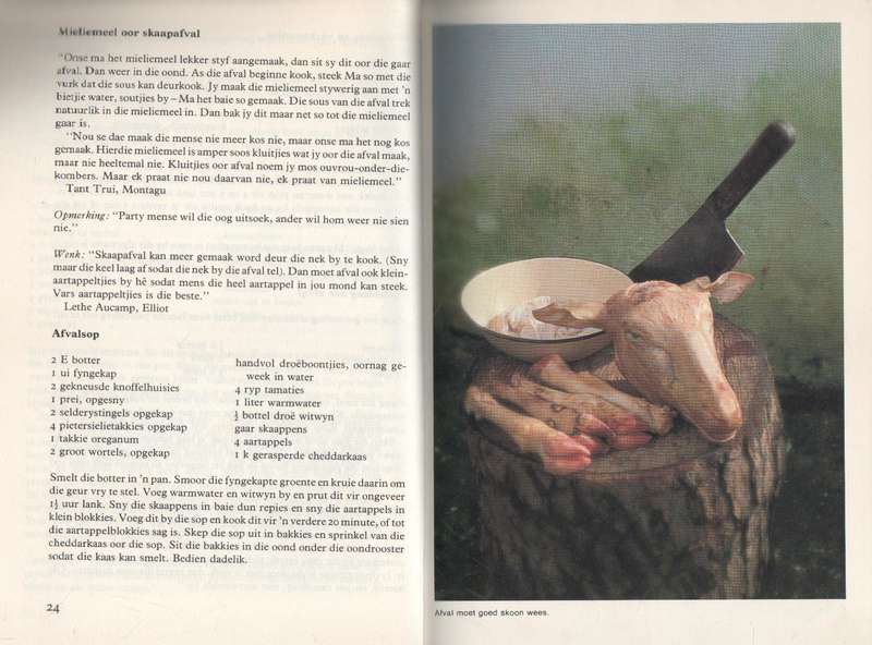 AFVAL EN AFVALLIGHEIDJIES - DINE VAN ZYL (1983)