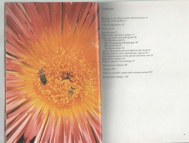NAMAQUALAND SOUTH AFRICAN WILDFLOWER GUIDE! - ANNELISE LE ROUX & TED SCHELPE (1994)