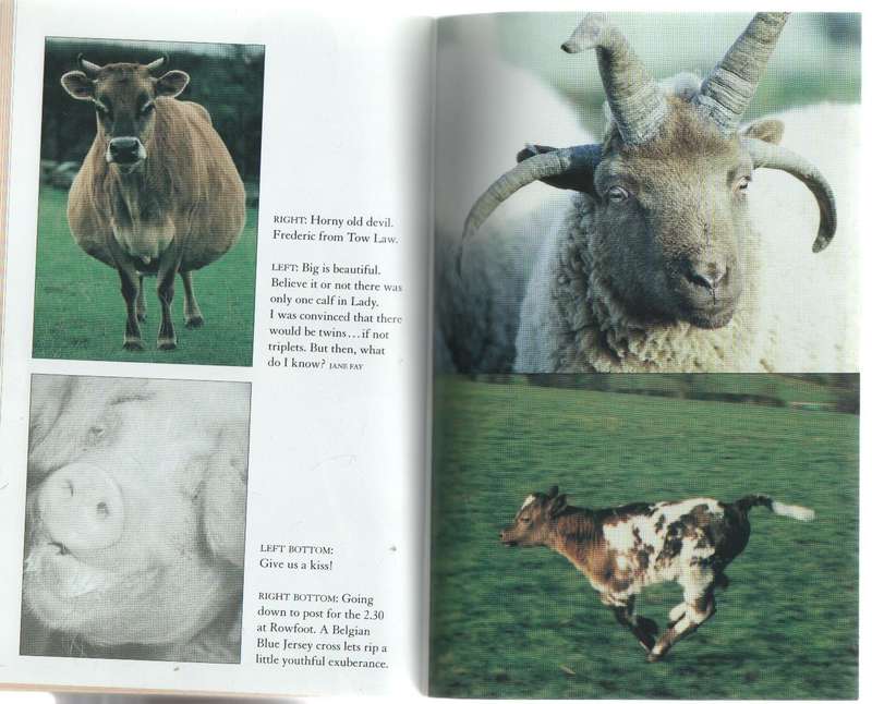THE FUNNY FARM - JACKIE MOFFAT (2004)