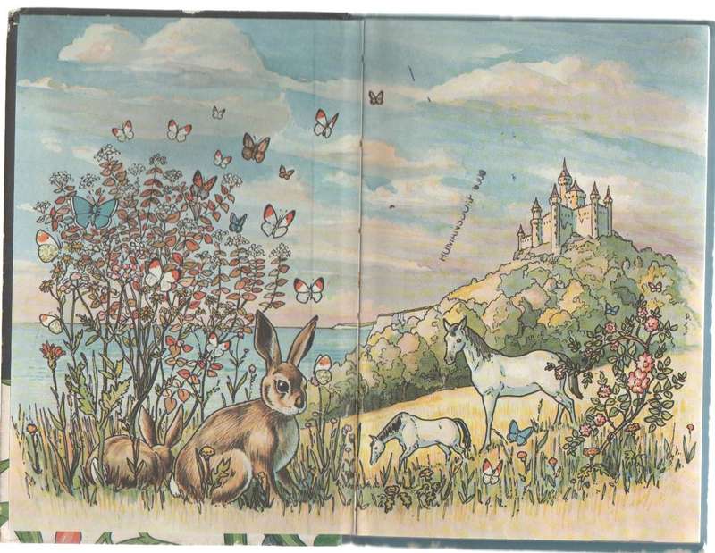 JACK AND THE BEANSTALK - LADYBIRD ( READING LEVEL 4 - 1977)