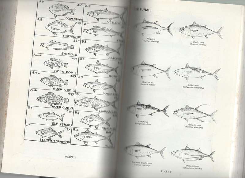 STRIKE! HANDBOOK OF COASTAL AND OFFSHORE ANGLING IN SOUTH AFRICA - S SCHOEMAN (4 TH EDITION 1982)