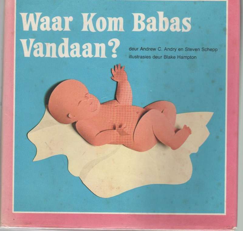 WAAR KOM BABS VANDAAN? - ANDREW C EN STEVEN SCHEPP (1 SE UITGAWE 1978)
