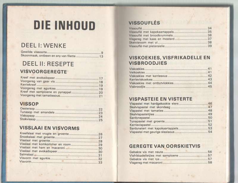 VINNIGE VISGEREGTE - ERINA BEZUIDENHOUT (OUD)