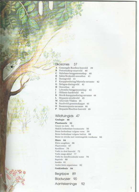 NASIONALE KRUGERWILDTUIN , WILDTUIN ERVARING - VOLKSKASBANK EN JACANA EDUCATION (1993)
