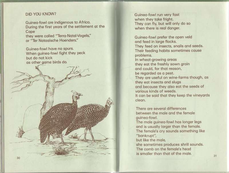 FRED THE FEATHER MAN , STAGE 4 - WINCKLER AND MARAIS (1 ST EDITION 1986)