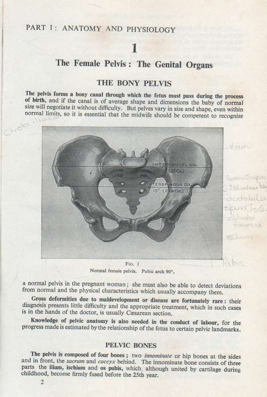 TEXTBOOK FOR MIDWIVES - MARGARET MYLES ( SEVENTH EDITION 1971)