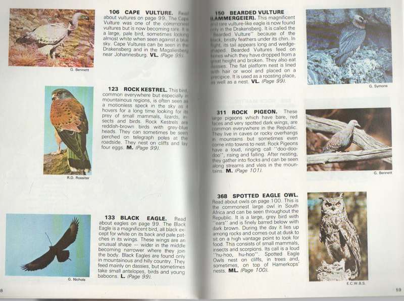 A BEGINNERS GUIDE TO OUR BIRDS , A WILDLIFE HANDBOOK - J O OLIVER (REPRINT 1986)