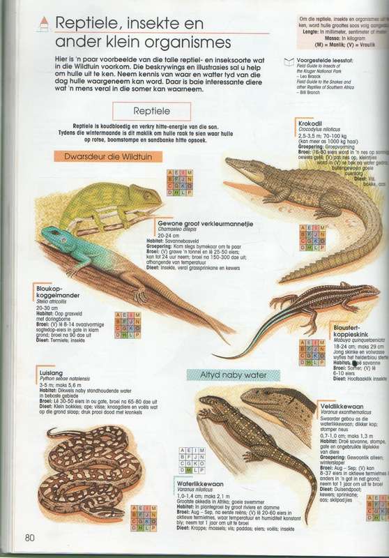 NASIONALE KRUGERWILDTUIN , WILDTUIN ERVARING - VOLKSKASBANK EN JACANA EDUCATION (1993)