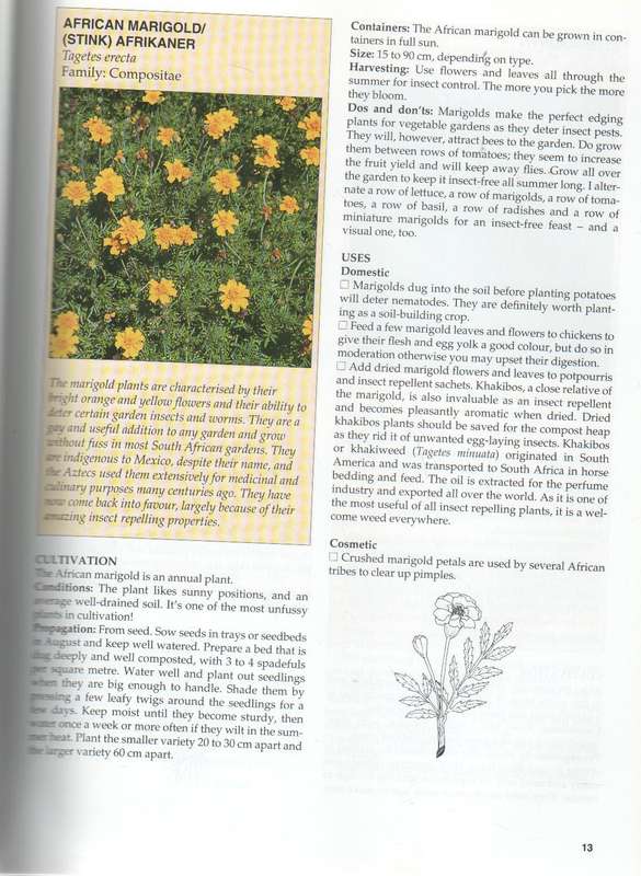 A-Z OF HERBS - MARGARET ROBERTS (2000)