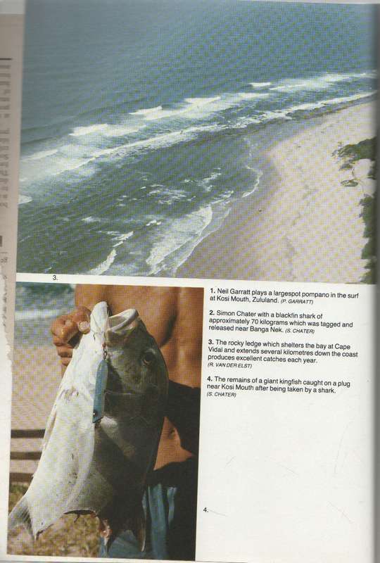 THE SOUTH AFRICAN FISHERMAN - IVOR WHIBLEY & PAT GARRATT (2ND EDITION 1993)
