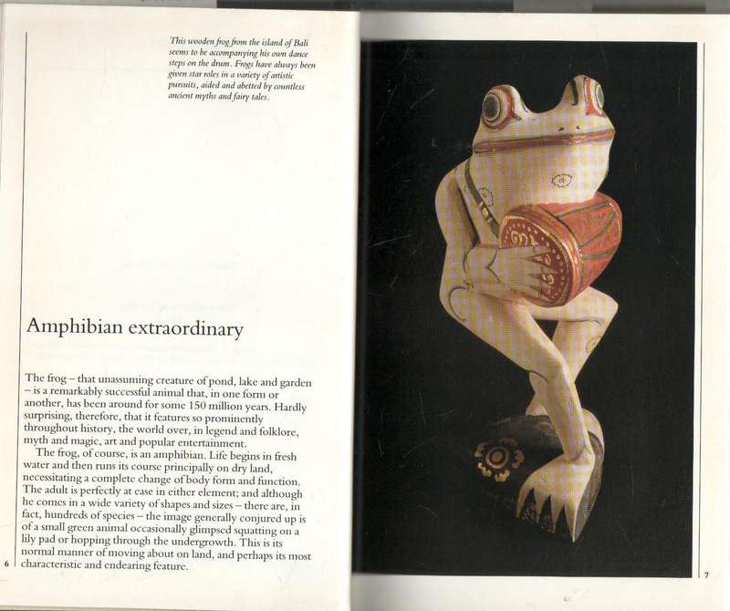 FROGS, ART, LEGEND, HISTORY - PATRIZIA RIBUOLI & MARINA ROBBIANI (1992)