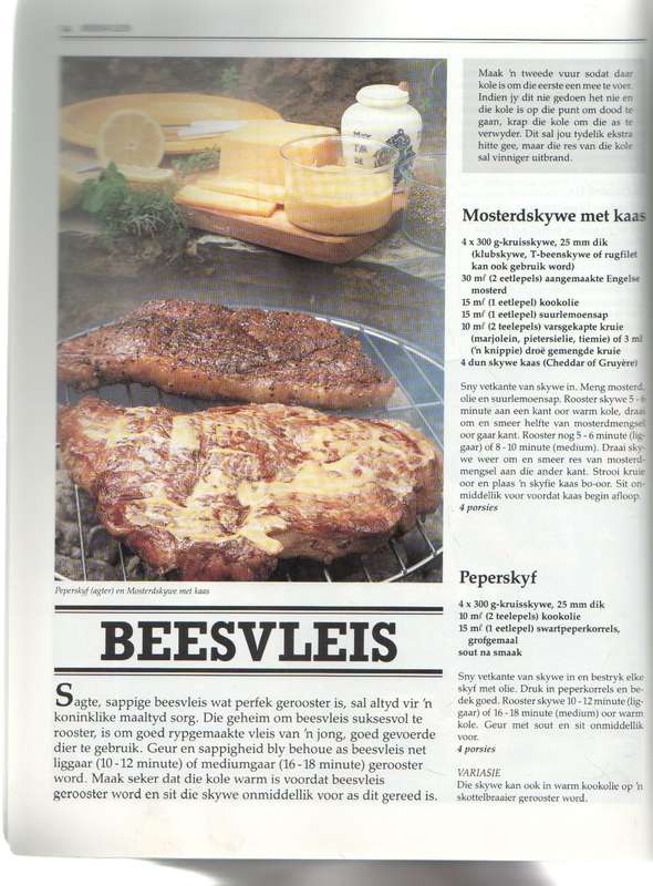 BESTE SUID-AFRIKAANSE BRAAI RESEPTE - CHRISTA KIRSTEIN (5 DE DRUK 1992)