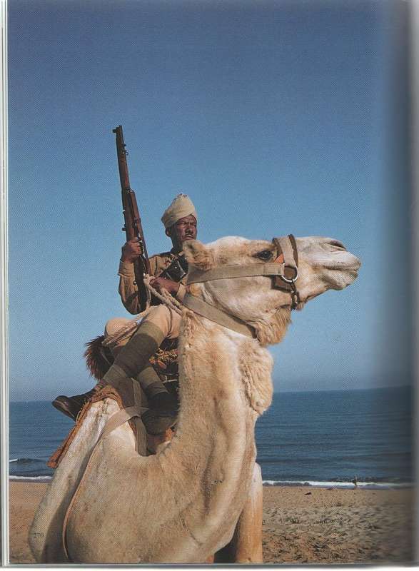 PHOTO NOMAD - DAVID DOUGLAS DUNCAN (2003 ?)