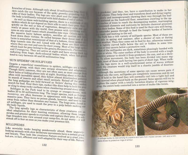THE KRUGER NATIONAL PARK - L E O BRAACK - STRUIK ALL-COLOUR GUIDE (1 ST EDITION 1983)