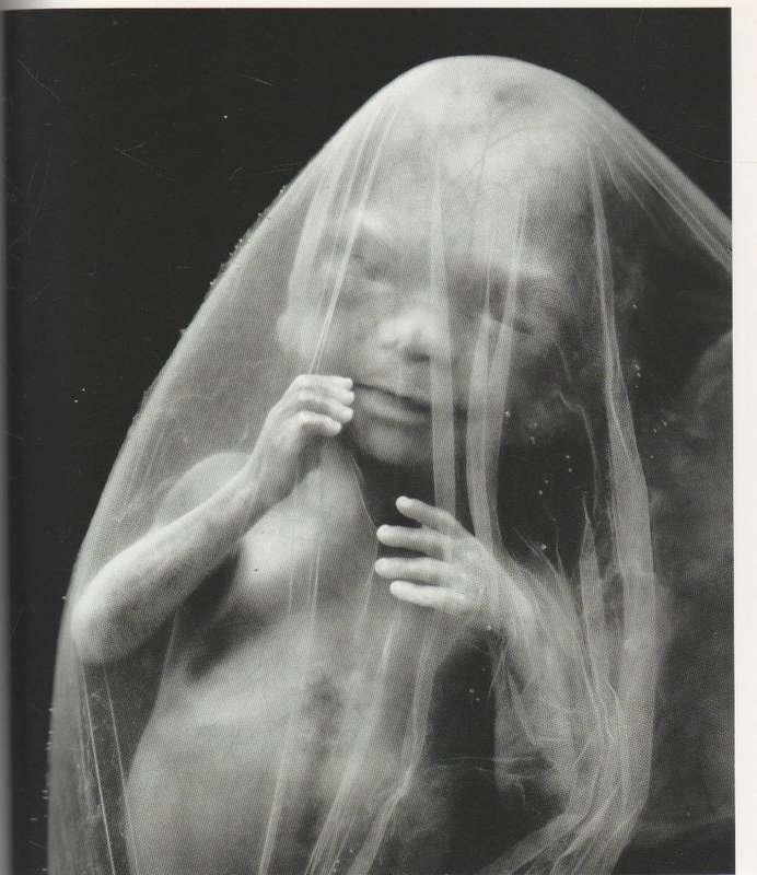 A CHILD IS BORN - LENNART NILSSON (2009)