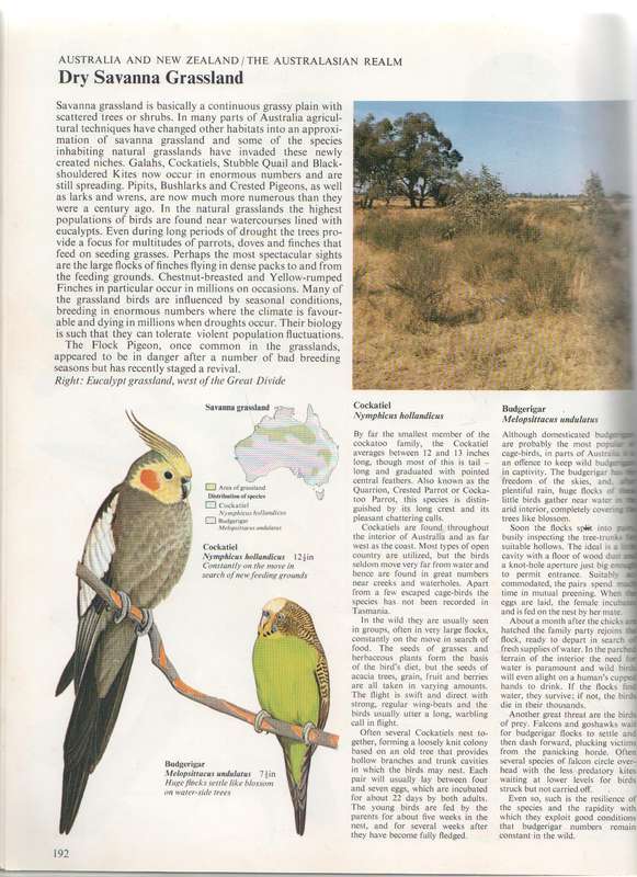 THE WORLD ATLAS OF BIRDS - MITCHELL BEAZLEY PUBLISHERS - MARTYN BRAMWELL EDITOR (1980)