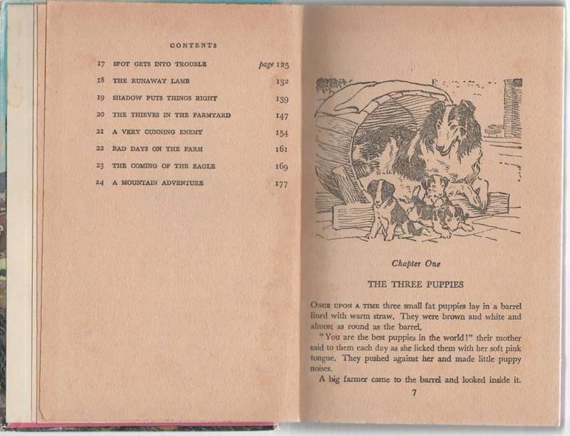 SHADOW THE SHEEPDOG - ENID BLYTON (1977)