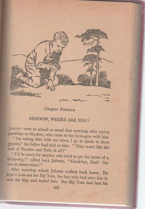SHADOW THE SHEEPDOG - ENID BLYTON (1977)