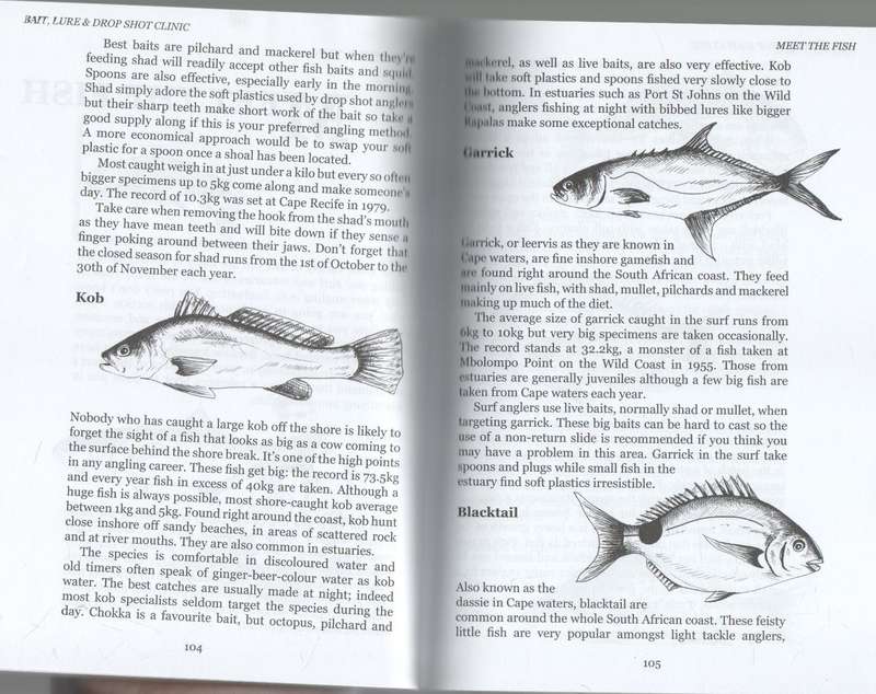 SOUTH AFRICAN SALTWATER BAIT, LURE & SHOT CLINIC - BRUCE BLACK (1 ST PUBLISHED 2009)