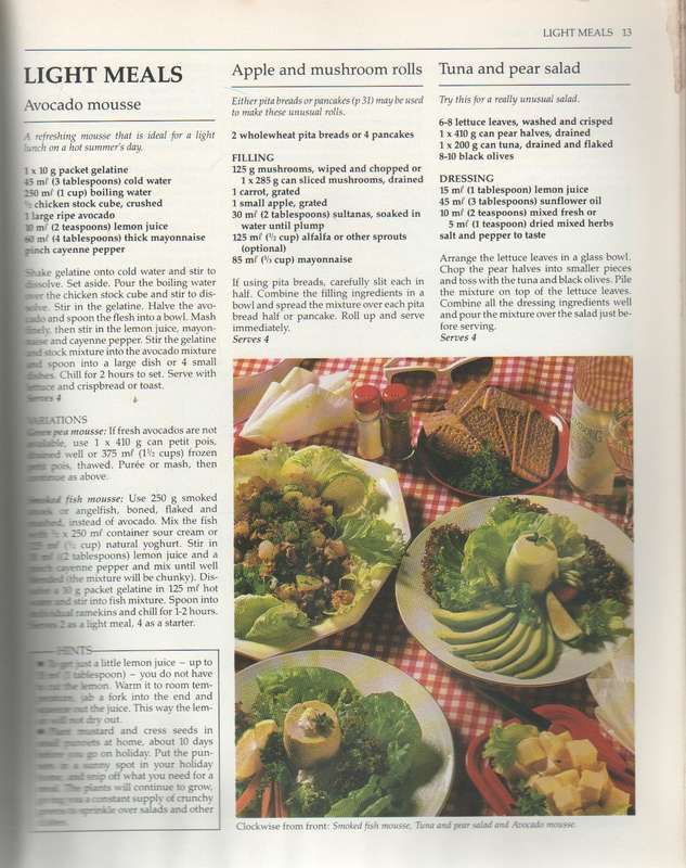 CADAC HOLIDAY COOKBOOK - PAT BARTON & GILLIAN CASTLE (1 ST PUBLISHED 1989)