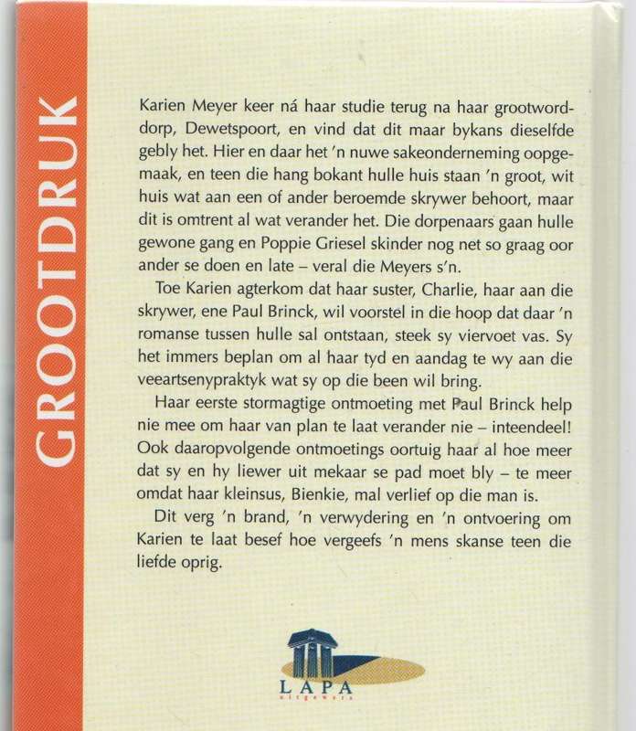 SKANSE TEEN DIE LIEFDE - KOBIE VAN NIEKERK (GROOTDRUK - 1 STE DRUK 1994)