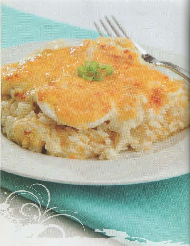 TASTIC COOKBOOK ENDLESS POSSIBILITIES (2010)