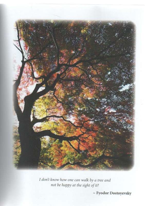 THROUGH THE BARK - KARIN STEYN (1 ST PUBLISHED 2020)