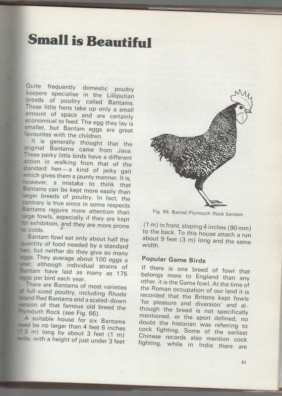 HOME POULTRY KEEPING - GEOFFREY ELEY (1976)