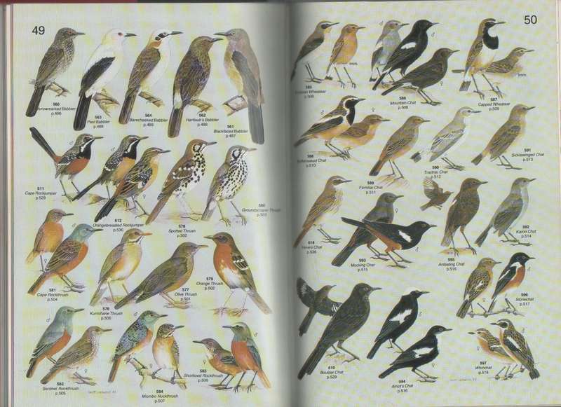 ROBERTS' BIRDS OF SOUTHERN AFRICA - JOHN VOELCKER BIRD BOOK FUND - GORDON LINDSAY MACLEAN (6TH/1993)